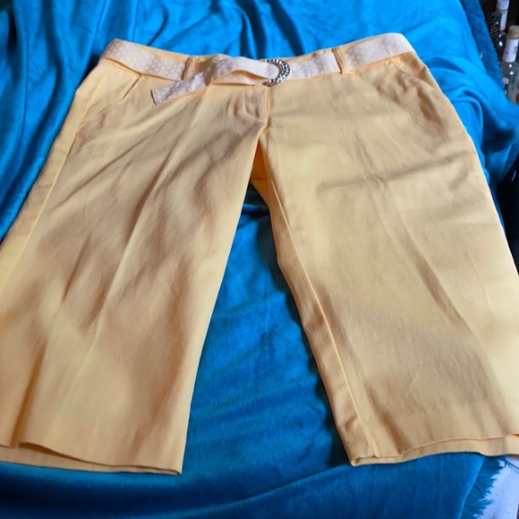 SOLD  NOT FOR SALE yellow Capris - Picture 3 of 8
